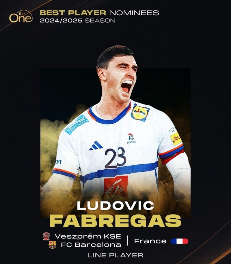 Image for the Tweet beginning: The best handball player 24/25